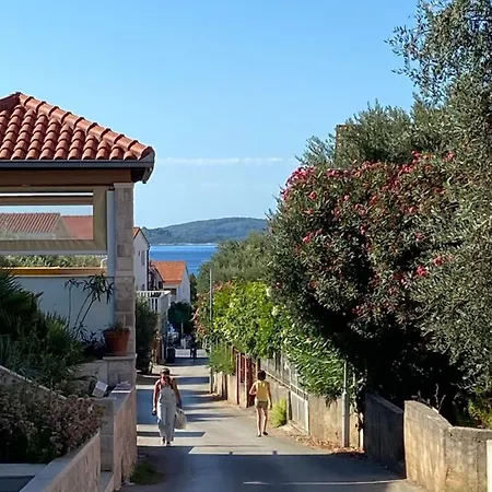 Mimosa Ferienhaus *
