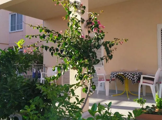 Hébergement de vacances Mimosa