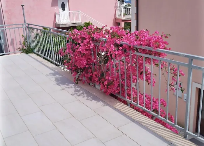 Mimosa Hébergement de vacances